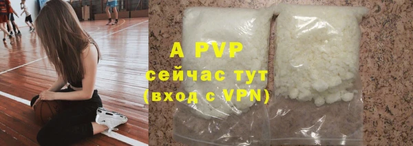 прущие крисы Верея