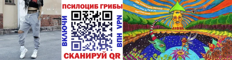 Псилоцибиновые грибы мухоморы  наркотики  Мытищи 